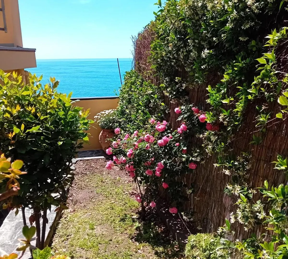 Raggio Di Luna Manarola Itálie